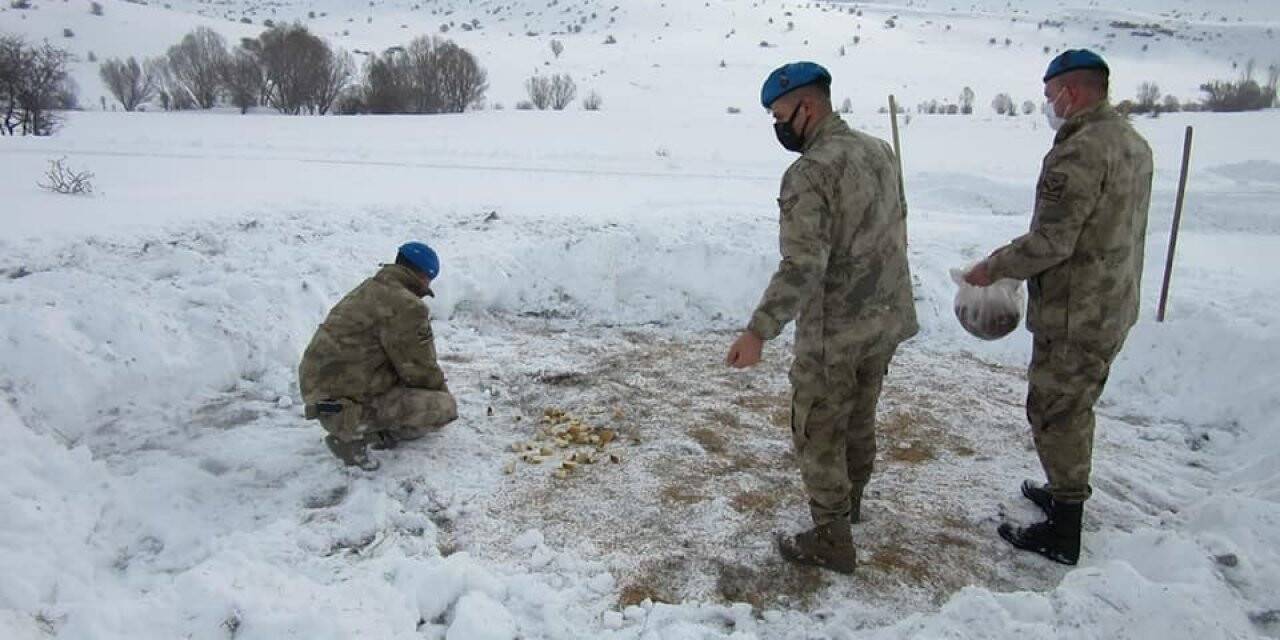 Komandolar, yaban hayvanları için doğaya yem bıraktı