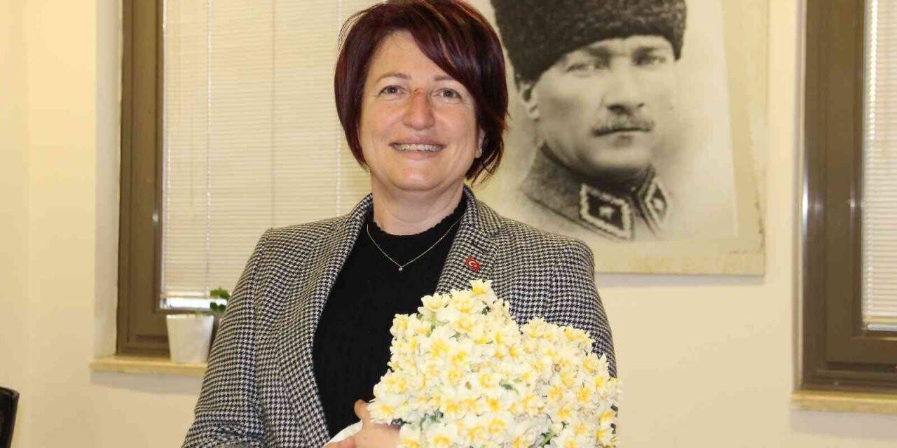 Nergisler festivale hazırlanıyor