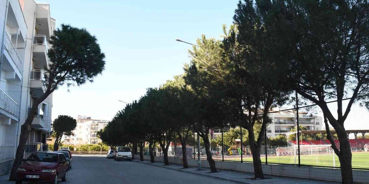 Davutlar Mahallesi’nde alt ve üst yapı çalışmaları devam ediyor