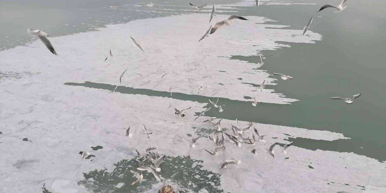 Eğirdir Gölü kıyıları buz tuttu