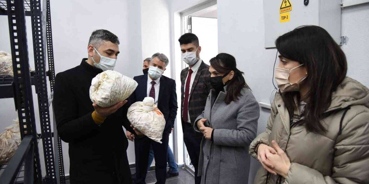 Afyon’dan gelip Düzce Üniversitesini incelediler