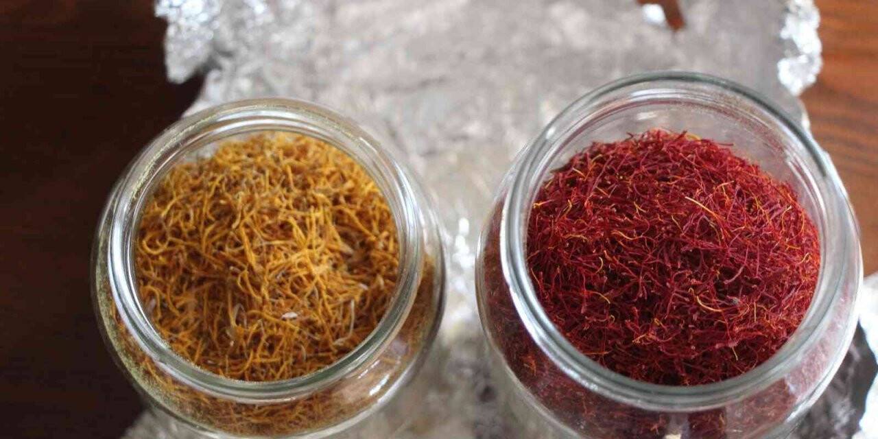 1 dönümden 1 kilo çıkıyor, kilosunu 90 bin liraya satıyor