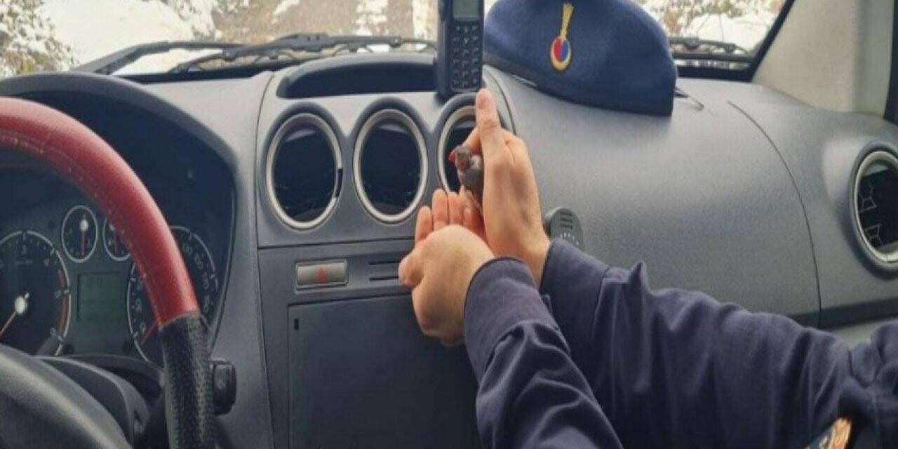 Donmak üzere olan kızılgerdana jandarma şefkati