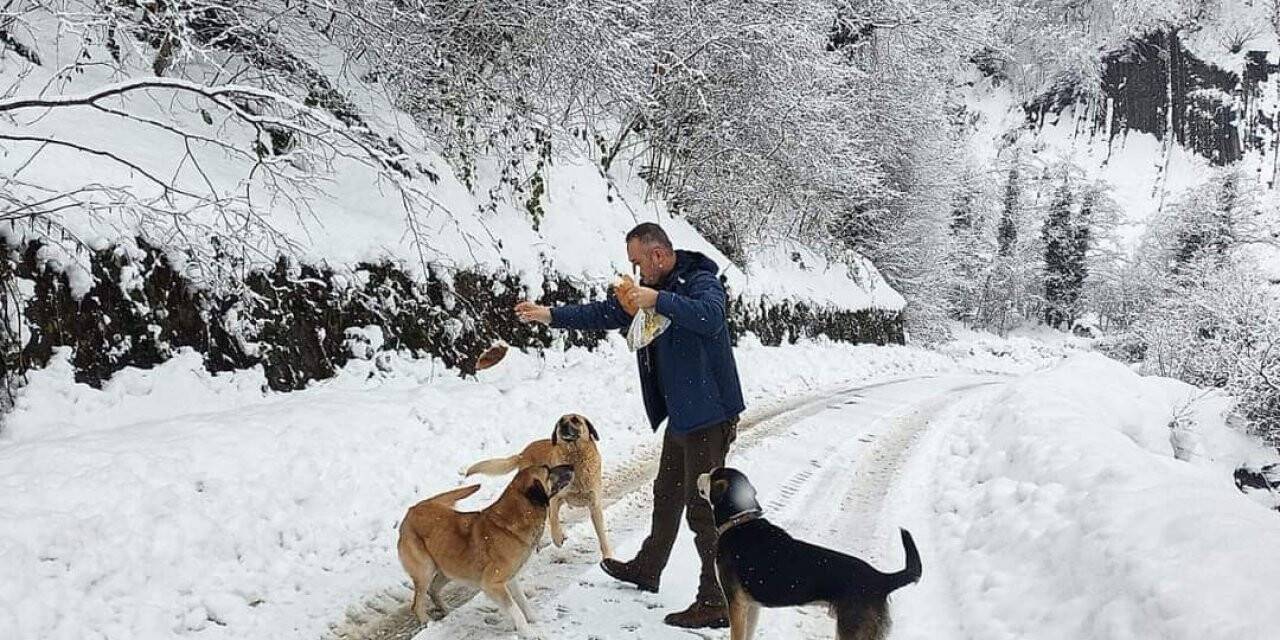 Türkeli Orman İşletme, köy yollarına ve doğaya destek ulaştırdı