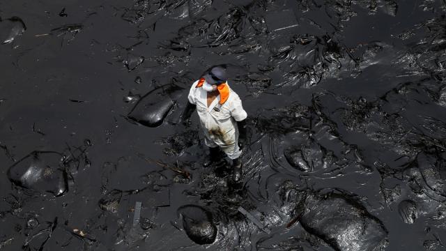 Peru sahilindeki petrol sızıntısı nedeniyle "Çevresel Acil Durum" ilan edildi