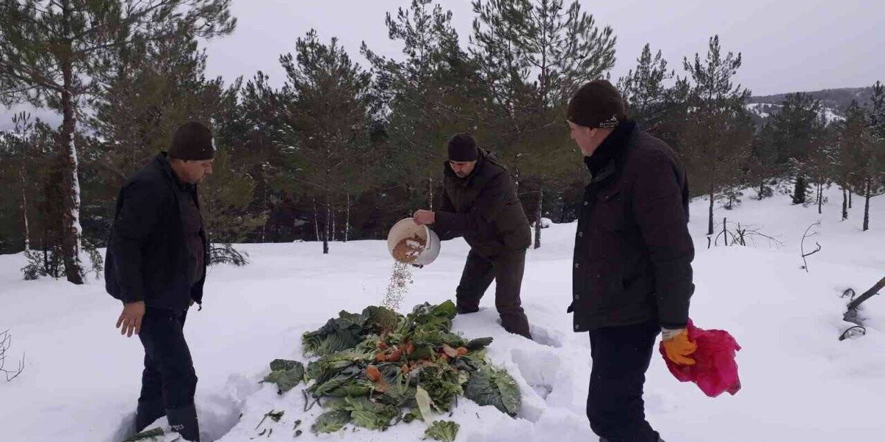 Yaban hayvanları için doğaya 350 kilogram yem bırakıldı