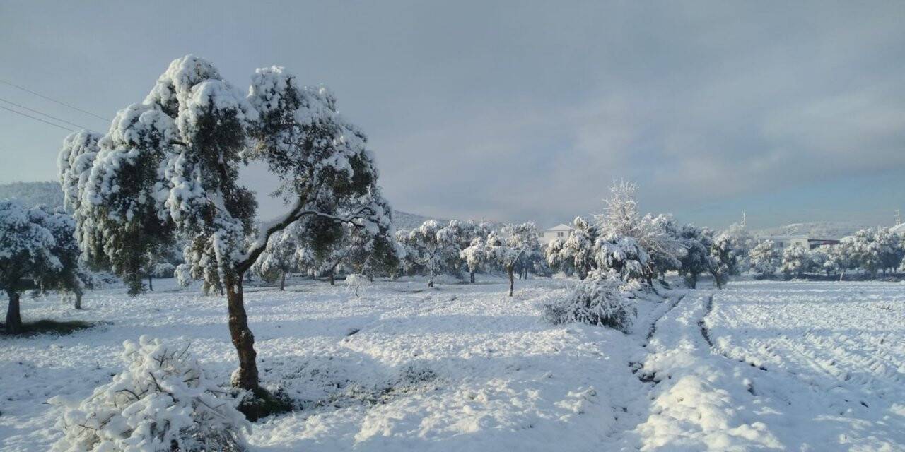 Milas’ın yüksek kesimleri beyaza büründü
