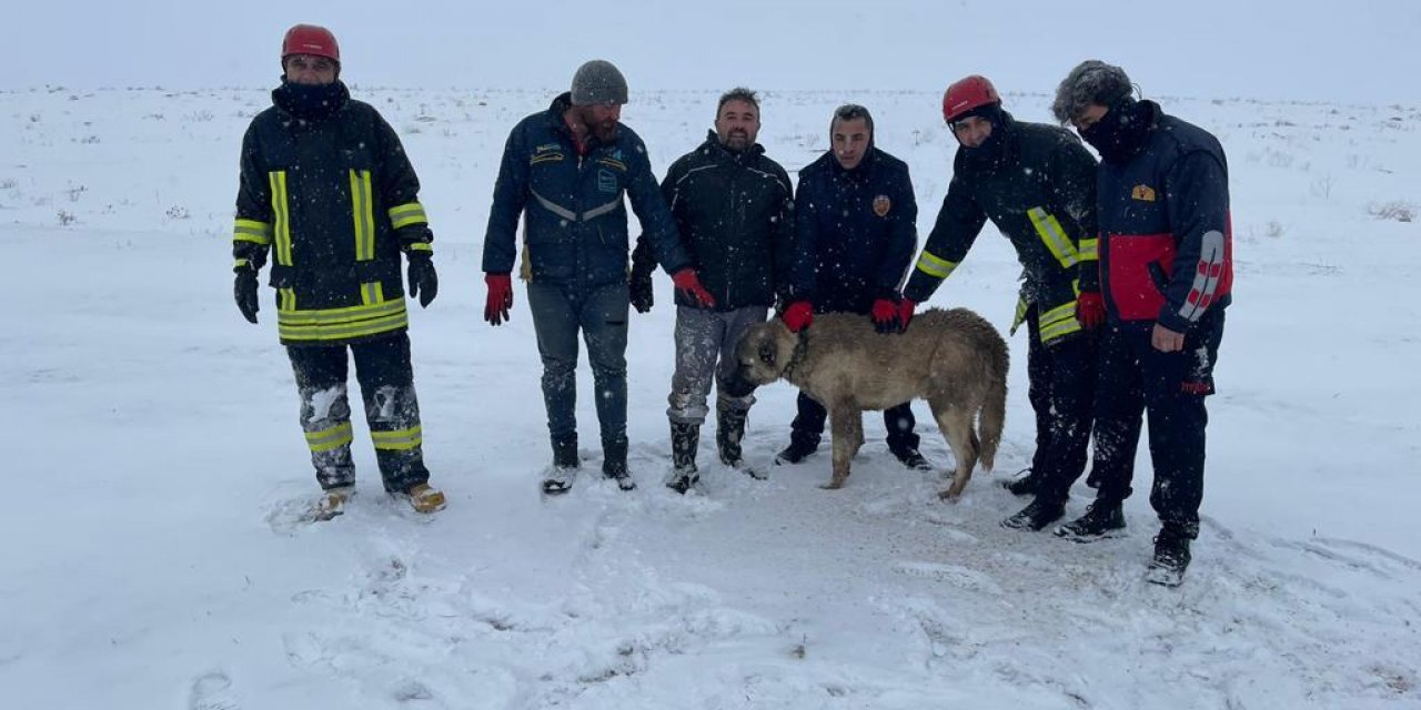 Konya'da kuyuya düşen köpek kurtarıldı