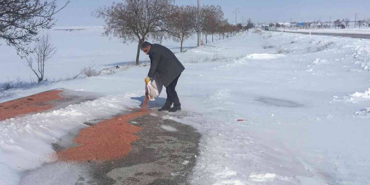 Kulu’da yaban hayvanlarına yem bırakıldı