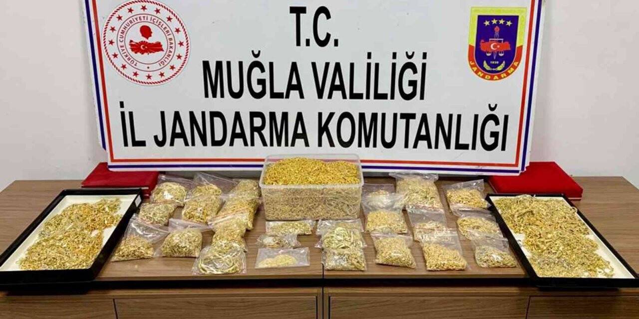 Gasp ettikleri 16 kilo altını toprağa gömdüler, jandarmadan kaçamadılar
