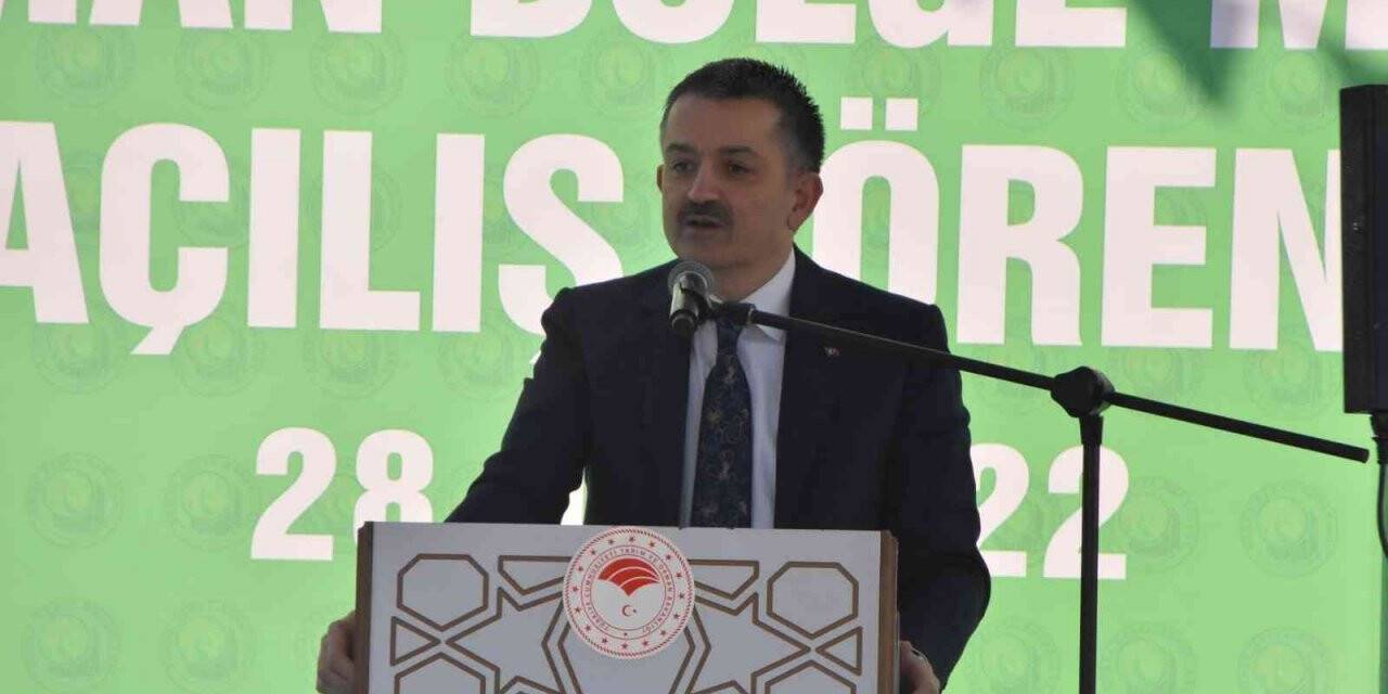 Pakdemirli: “Dünyada en fazla ağaçlandırma yapan ilk dört ülke arasındayız”