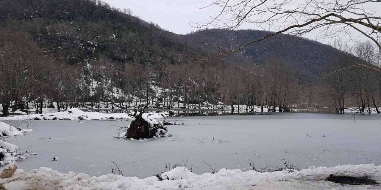 Teşvikiye Göleti dondu