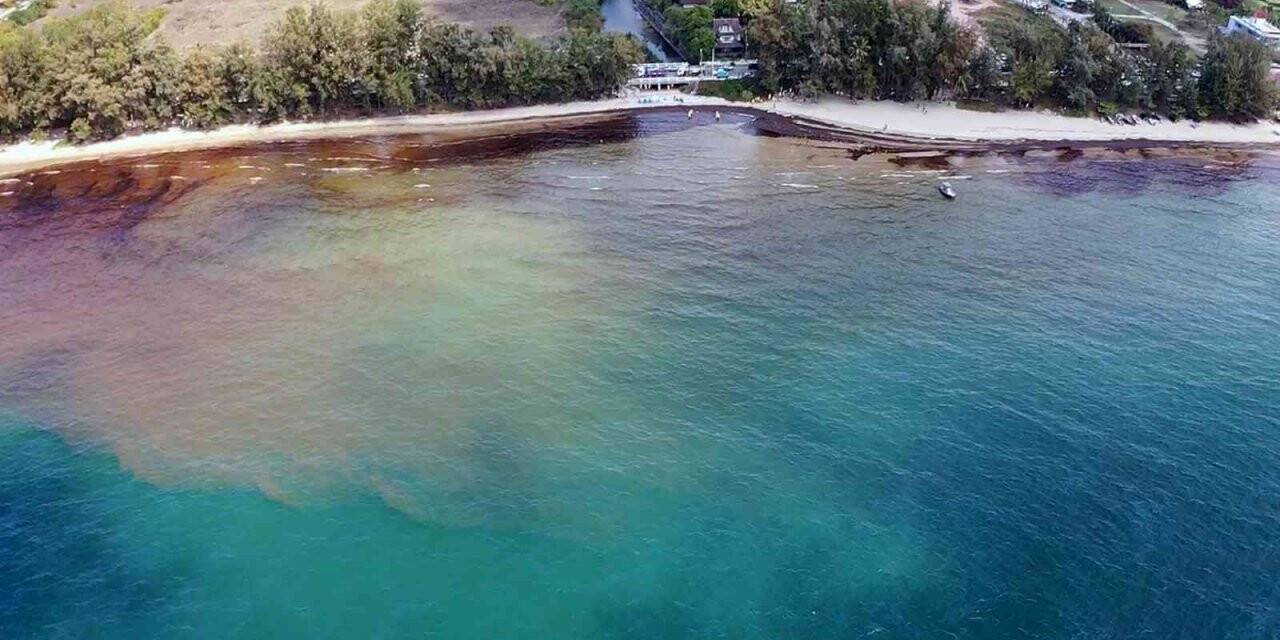 Tayland’da petrol sızıntısı nedeniyle bir plaj afet bölgesi ilan edildi