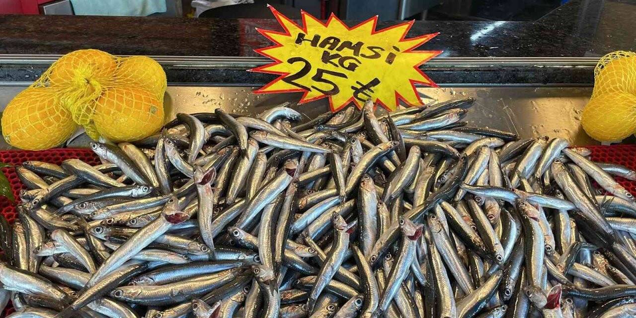 Deniz soğudu, balık bollaştı