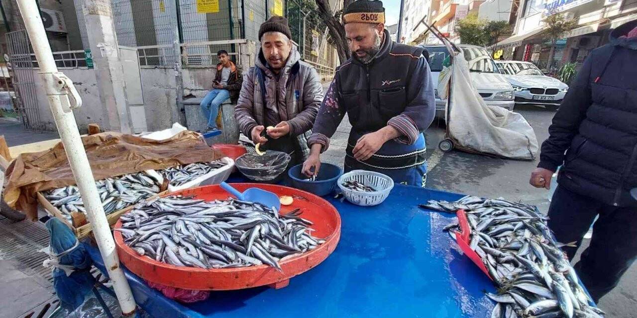 Tekirdağ’da istavrit 20, hamsi 25 TL’ye kadar düştü