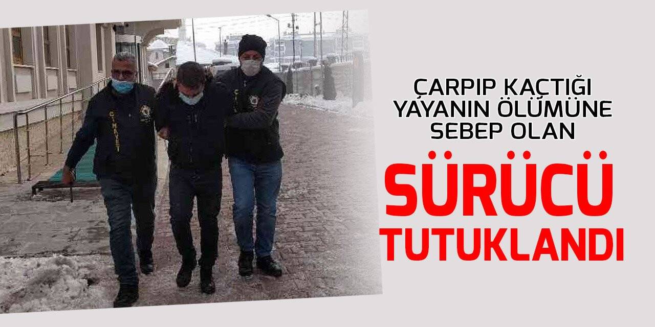 Çarpıp kaçtığı yayanın ölümüne sebep olan sürücü tutuklandı
