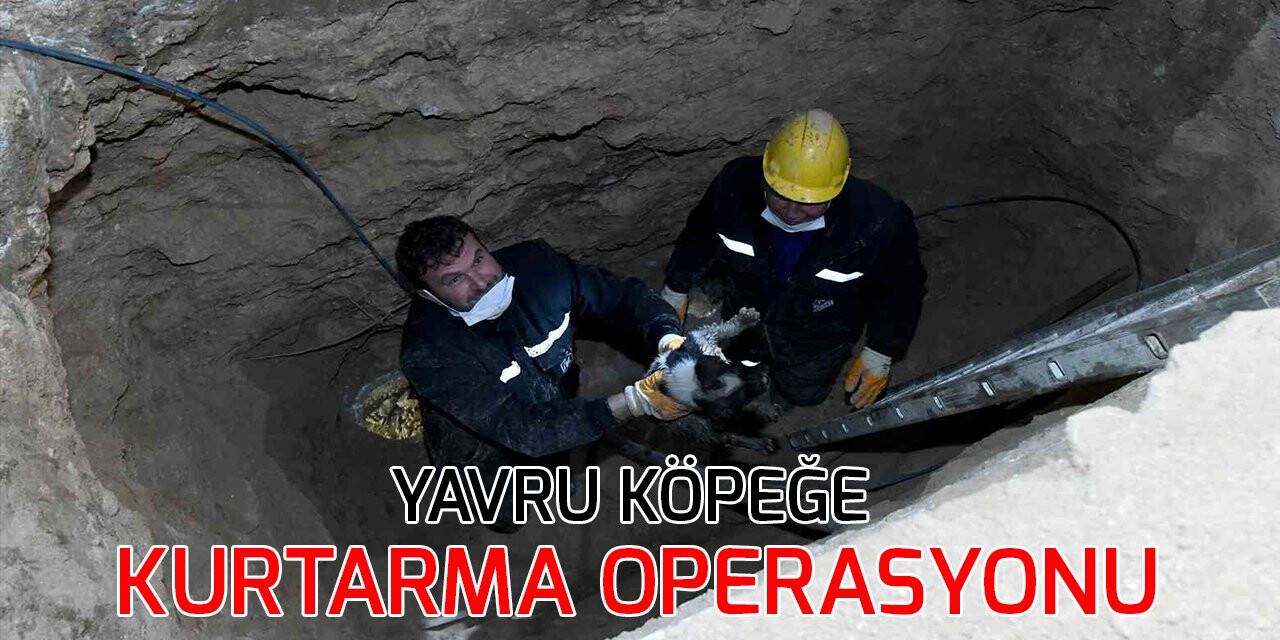Kanalizasyon hattına giren yavru köpeğe kurtarma operasyonu