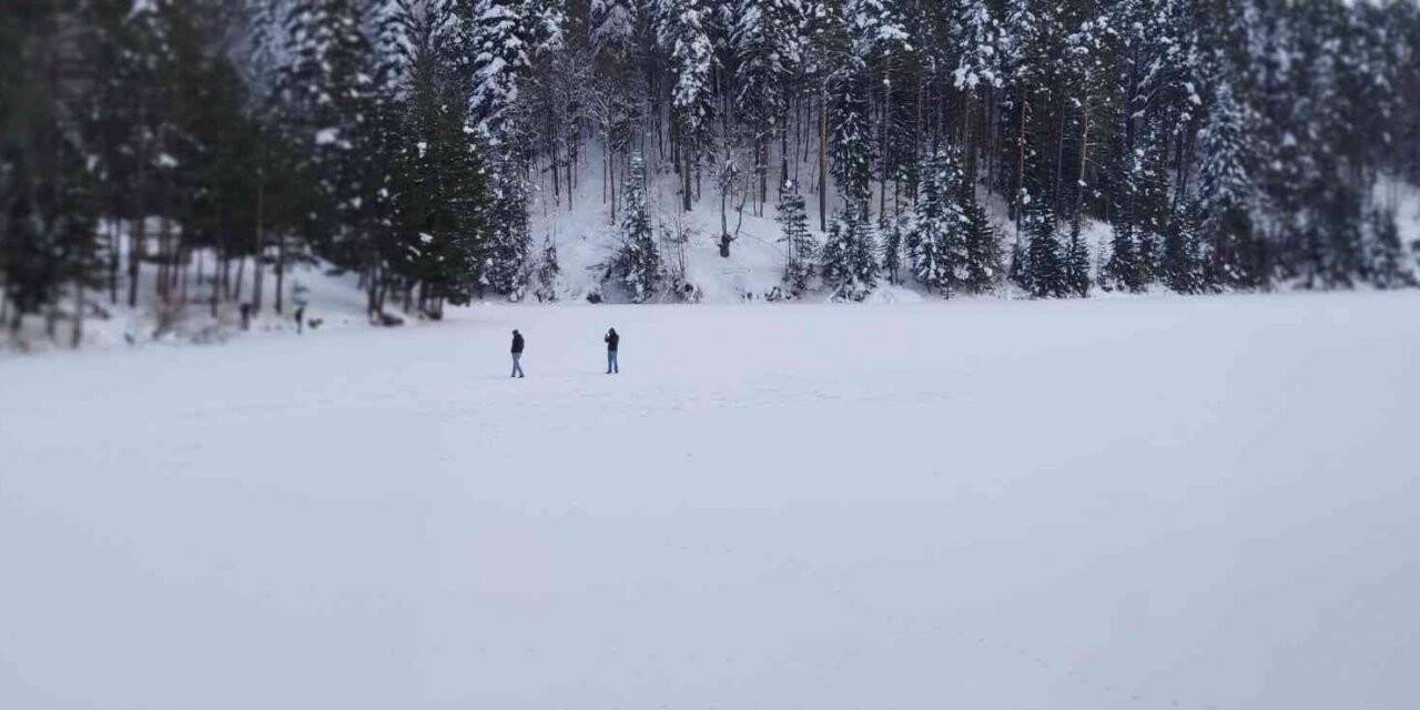 Bilecik’te bir gölet soğuktan tamamen dondu