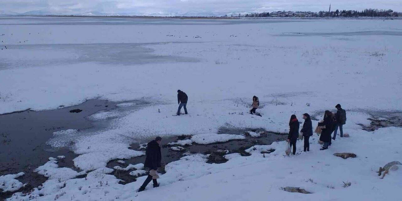 Beyşehir’de üniversiteli öğrencilerden su kuşlarını yemleme mesaisi