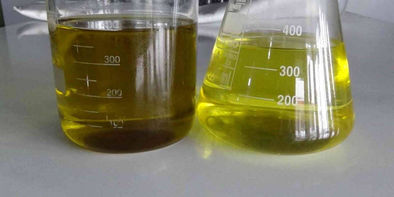 Dünyada ilk kez zeytinyağının apolarını polarından ayırdı