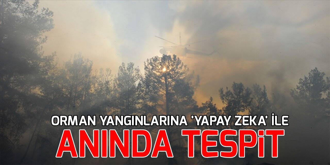 Orman yangınlarına 'yapay zeka' ile anında tespit