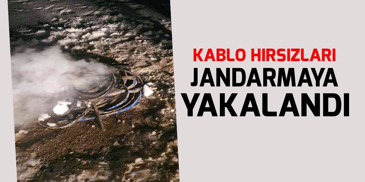 Konya'da kablo hırsızları jandarmaya yakalandı