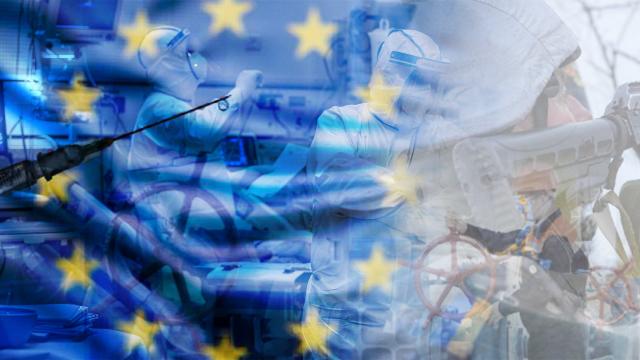 Avrupa Birliği 30 yaşına giriyor