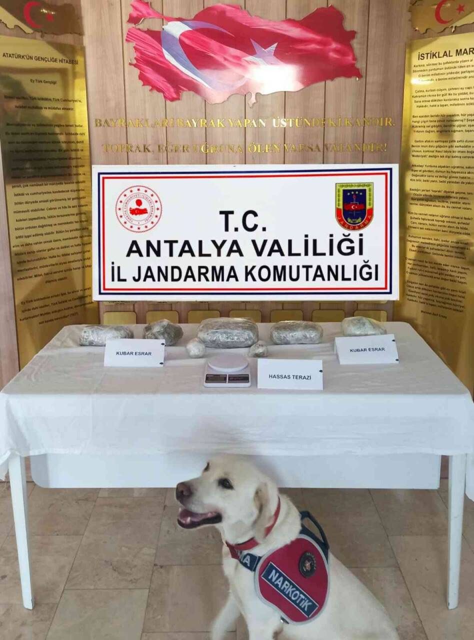Alanya’da 2 kilo esrar ele geçirildi