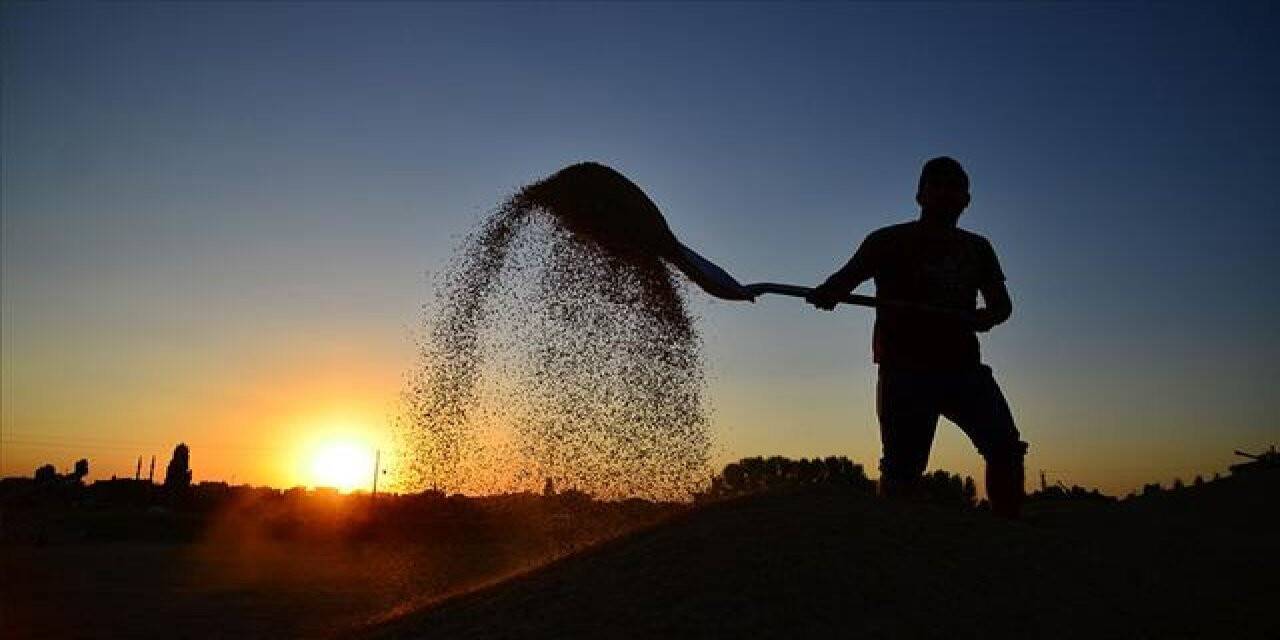Tarım, bünyesindeki 10 sektörün 8'iyle ihracatta atağa kalktı