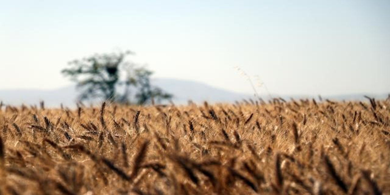 Türk tarım ürünleri 4 kıtada tanıtılıyor