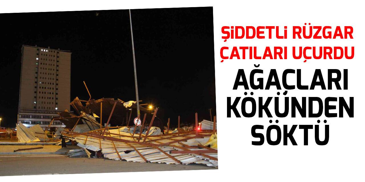 Şiddetli rüzgar çatıları uçurdu, ağaçları kökünden söktü