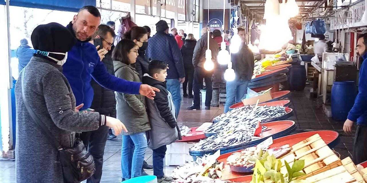 Bandırma balık halinde hamsi bolluğu yaşanıyor