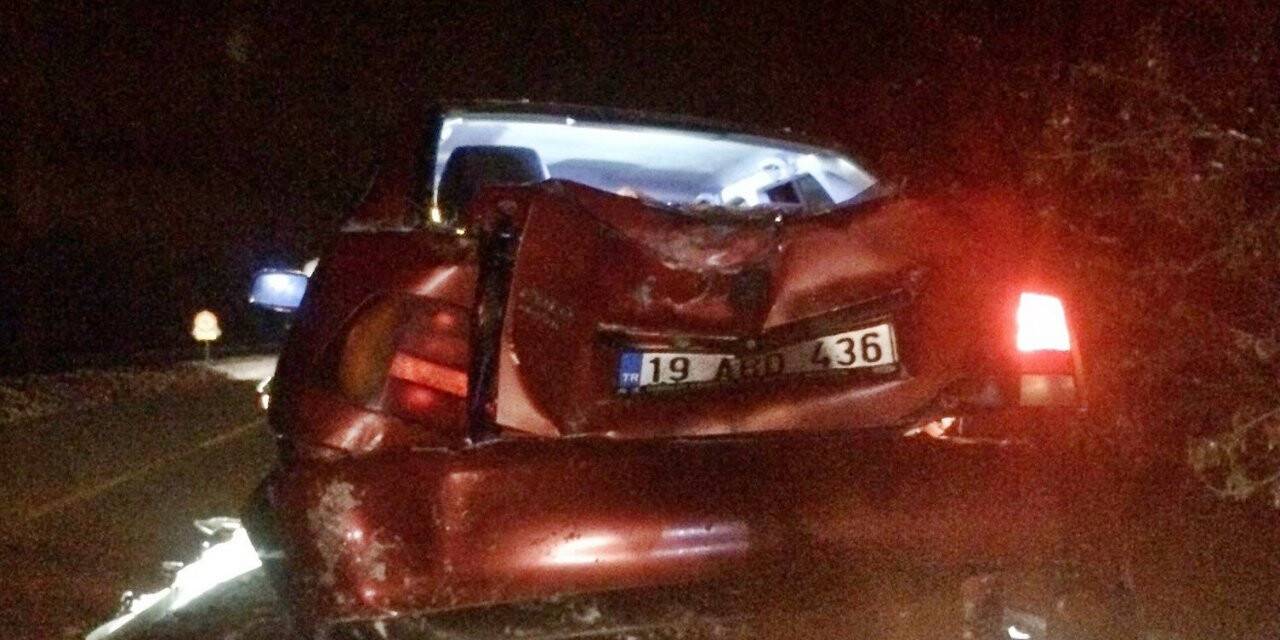 Takla atan otomobil ağaca çarparak durabildi: 2 yaralı