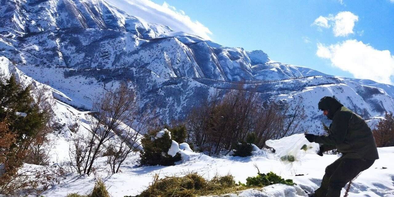 Bingöl’de yaban hayvanlarını yemleme çalışmaları sürüyor