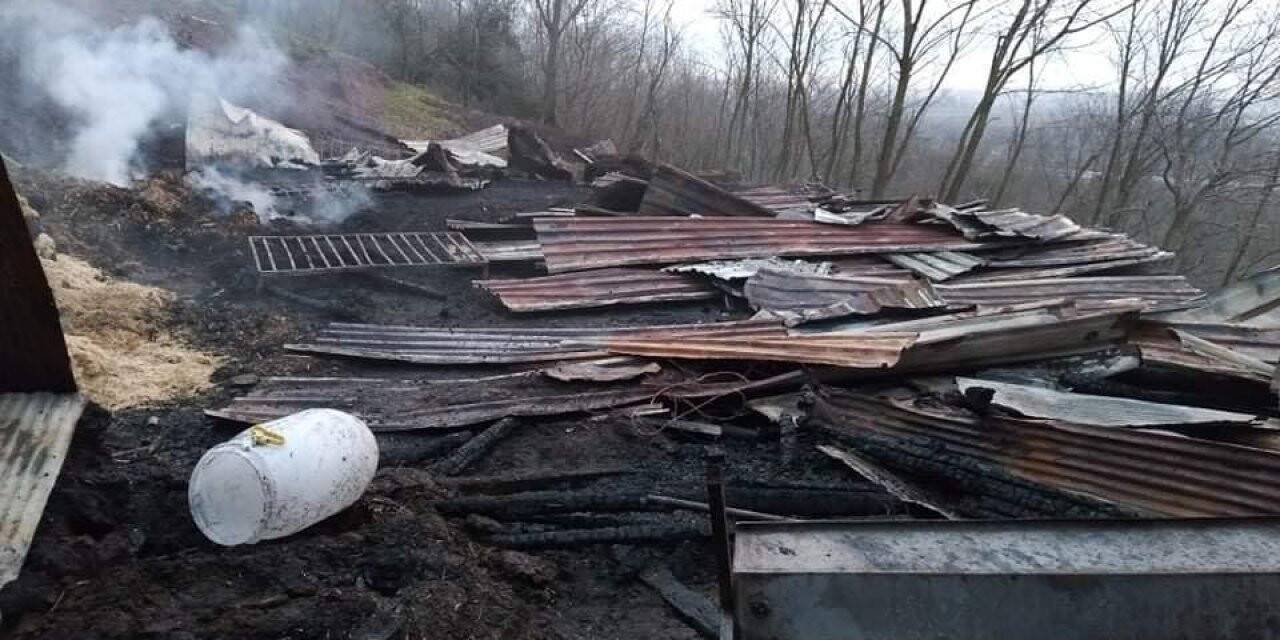 Ahırda korkutan yangın: 11 koyun telef olmaktan kurtarıldı