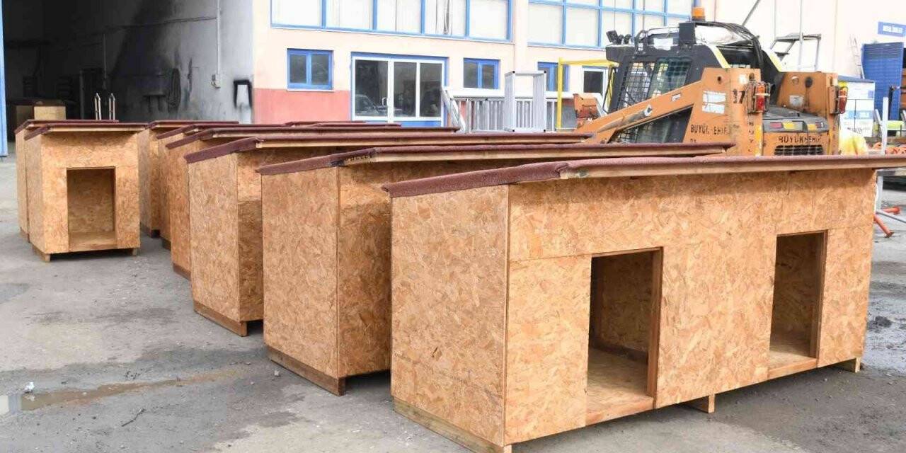 Atıklar ahşaplar sokak hayvanlarına yuva oldu