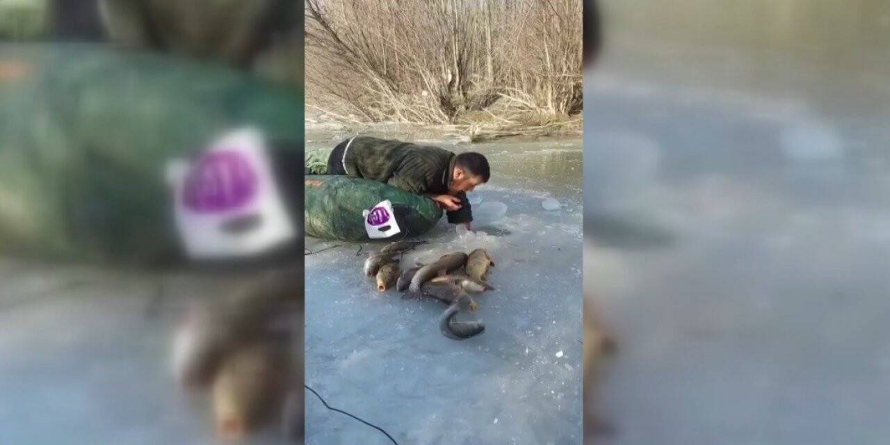Buz altından elle balık çıkarıyor