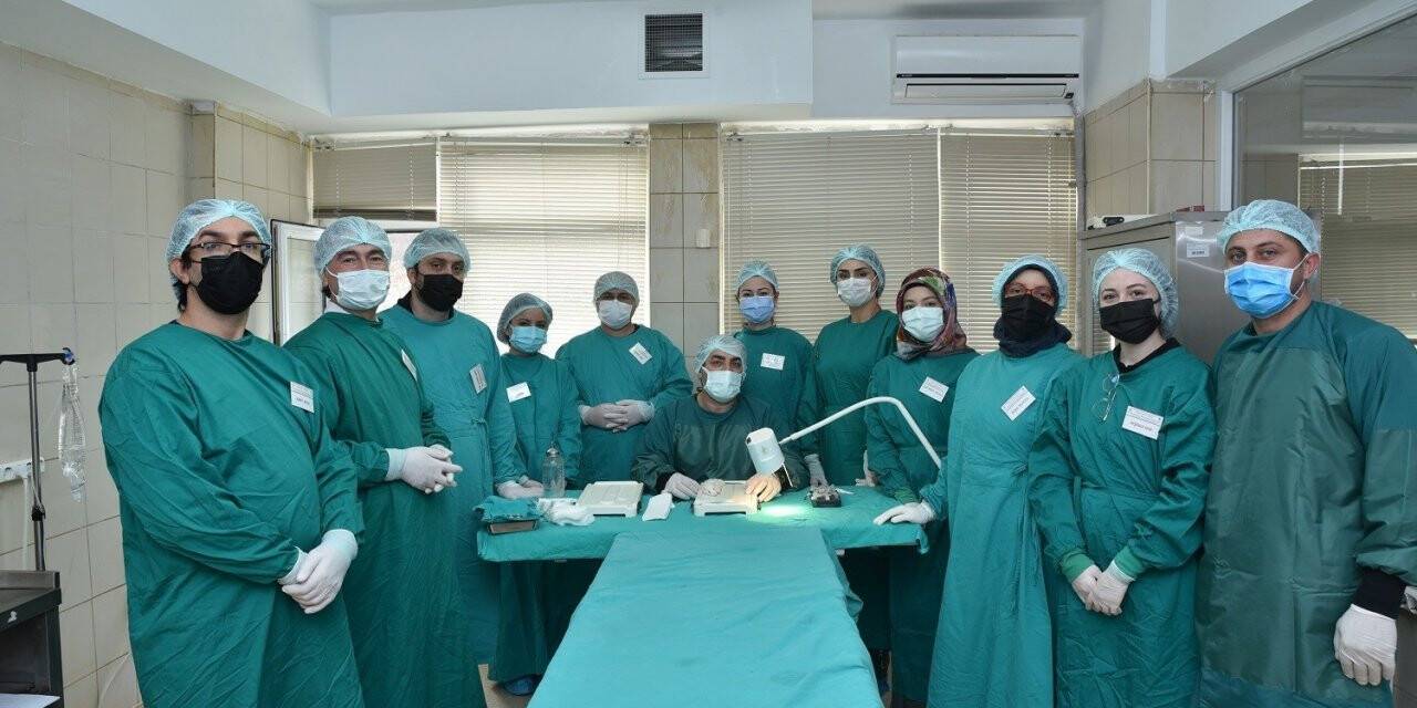 OMÜ’de 13 üniversiteden araştırmacılara deney hayvanı kullanım eğitimi