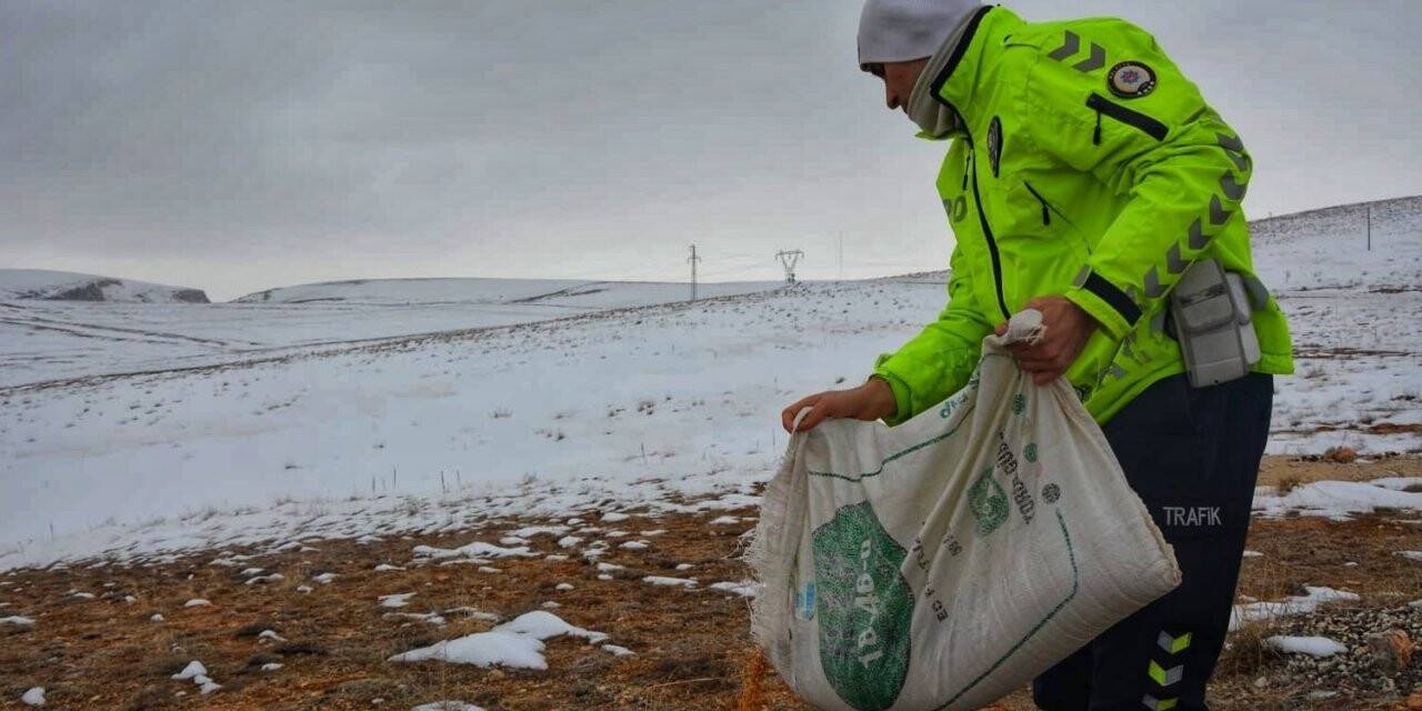 Karda yiyecek bulmakta zorlanan hayvanlara polis şefkati