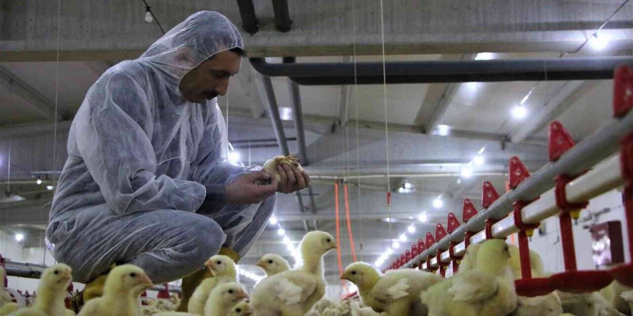 Şehir hayatından sıkıldı, devletten aldığı destek ile köye dönüp çiftlik kurdu