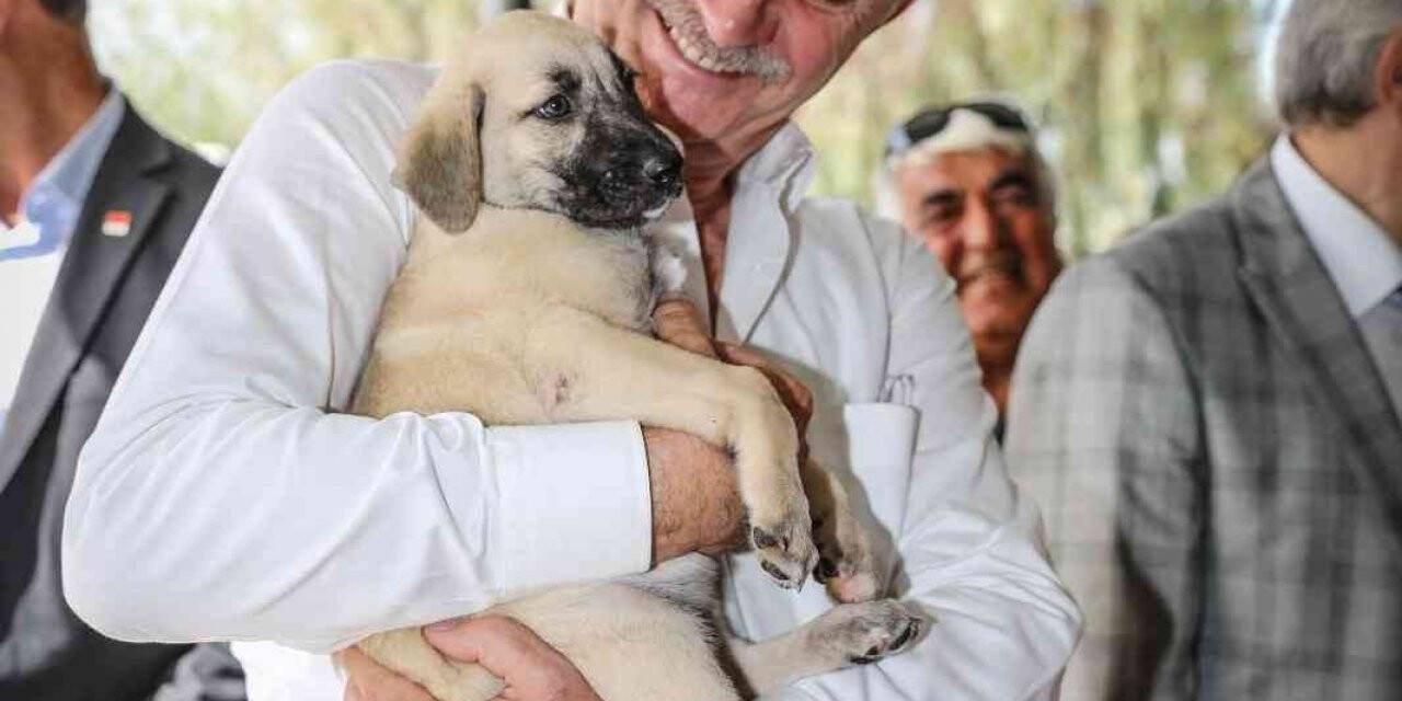 Başkan Atabay, can dostlar için yeni projesini duyurdu