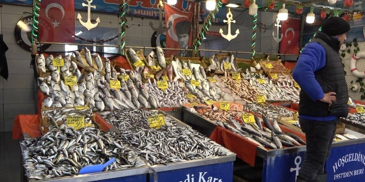 Hamsi 35 liraya düştü