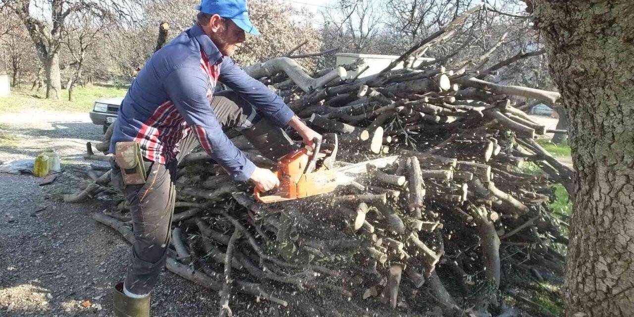 Burhaniye’de zeytin odununa talep arttı
