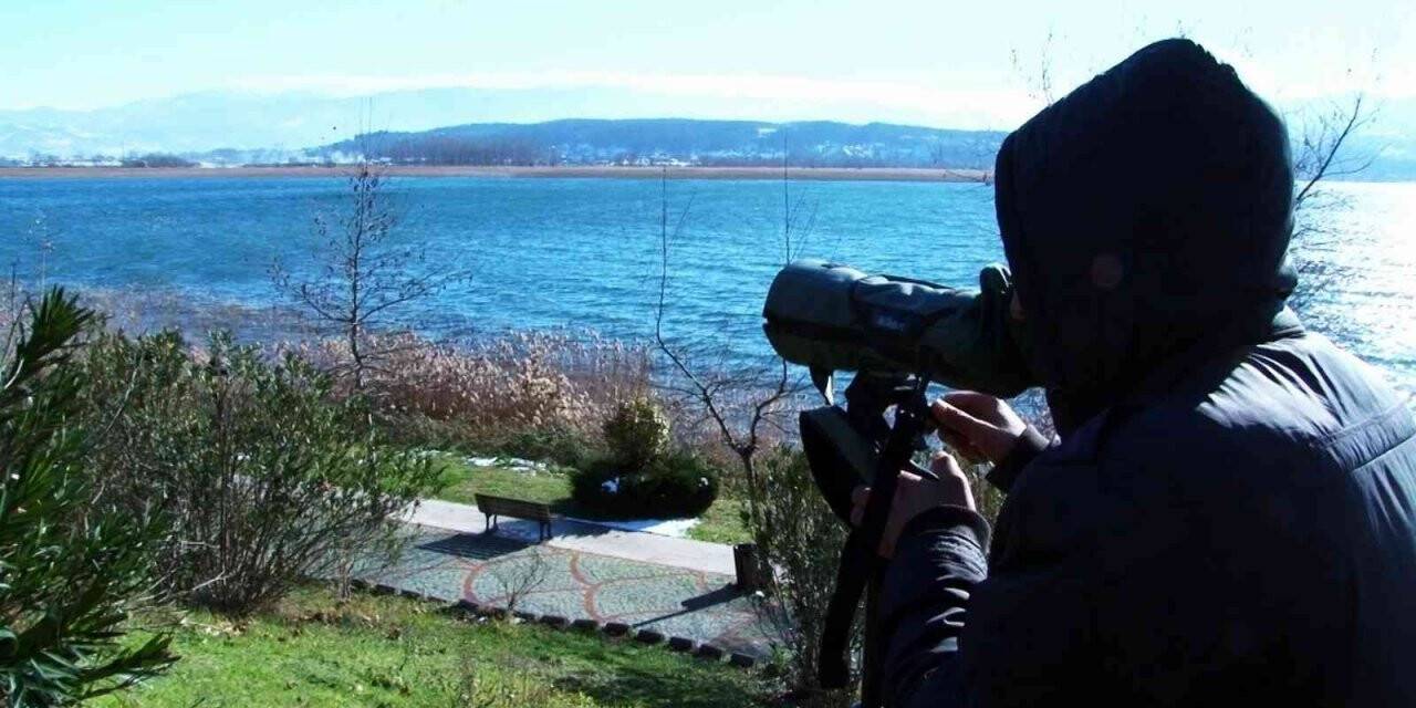 Ortalama 1 milyon 200 bin su kuşu bu çalışmalarla tespit ediliyor