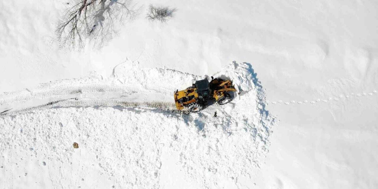 Kar kaplanlarının zorlu kış mesaisi