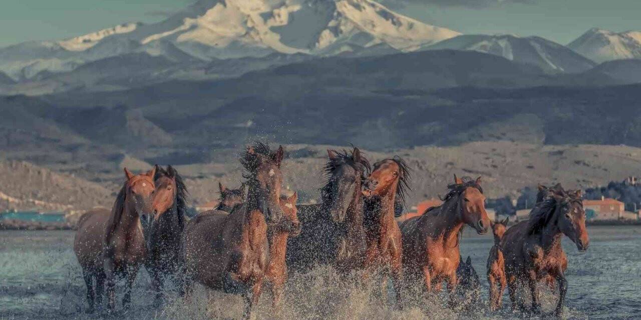 Hacılar’ın yazı ayrı, kışı ayrı güzel