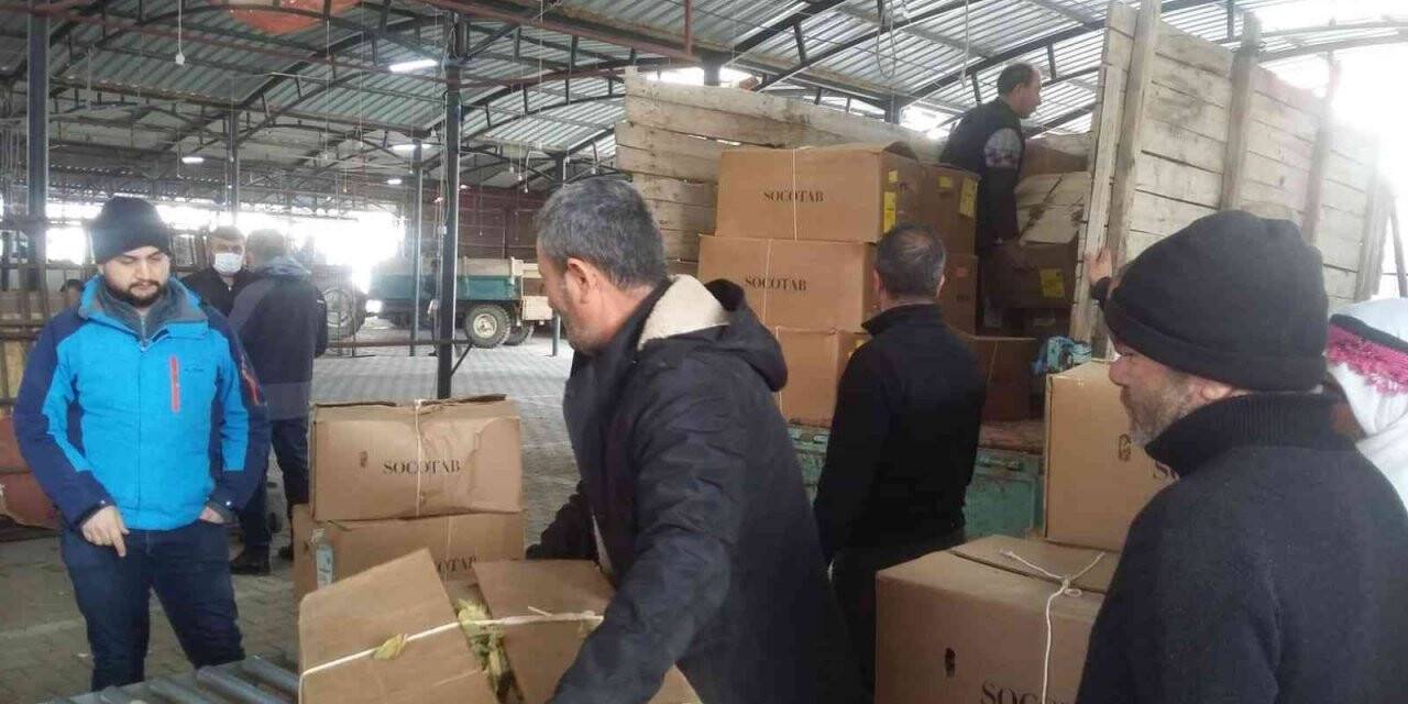 Manisa’da tütün alımlarına başlandı