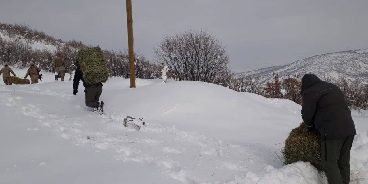 Elazığ’da yaban hayatına bir ayda 7  ton yem bırakıldı