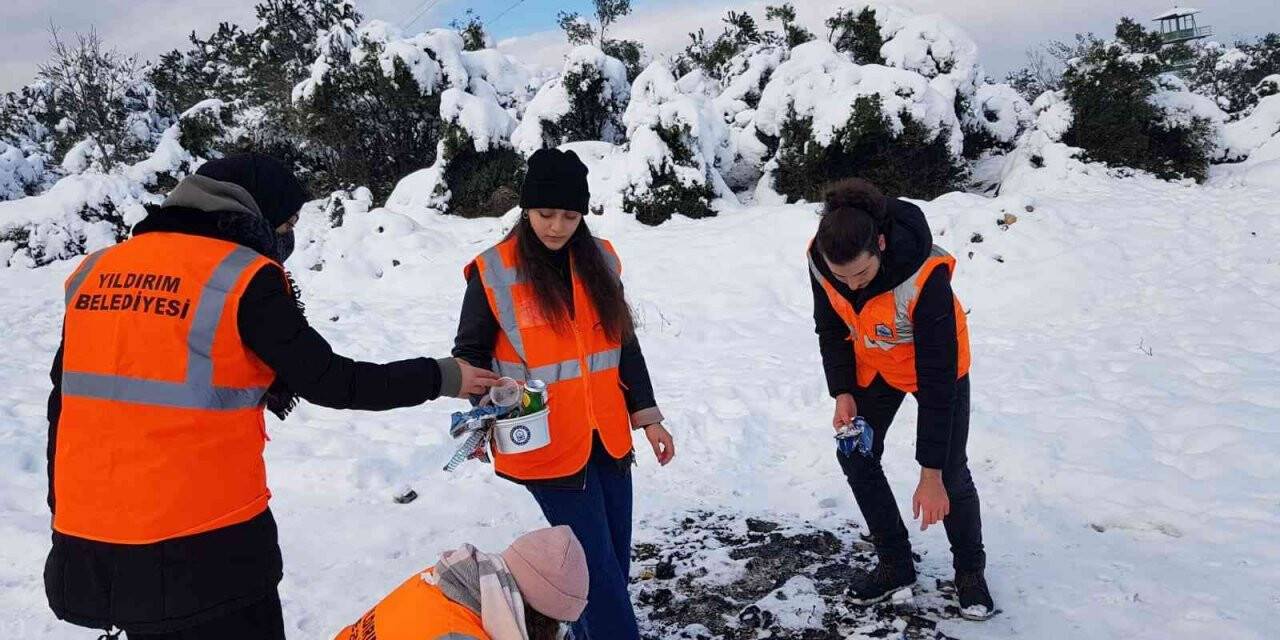 BTÜ öğrencileri sokak hayvanlarını unutmadı