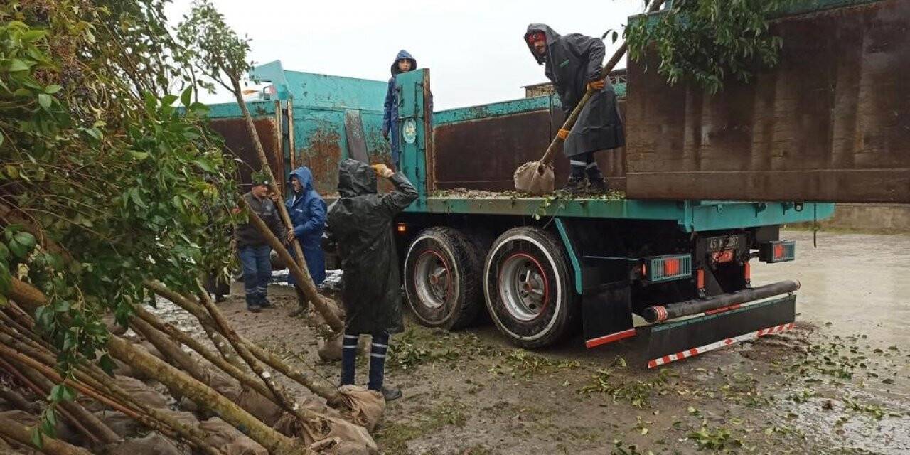 Manisa’nın yeşiline bin 110 ağaçlık katkı daha yapılacak
